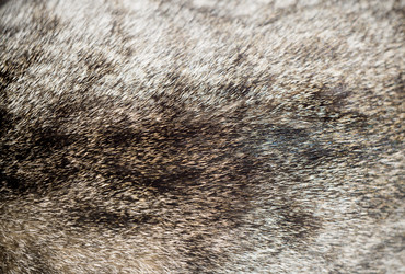 Similar image 7755363