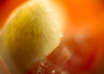 Similar image 7755365