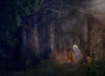 Similar image 7755372