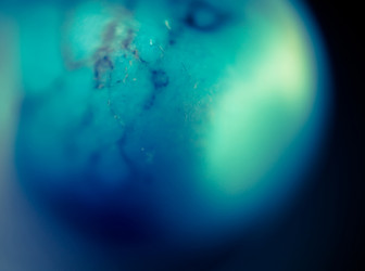 Similar image 7755378