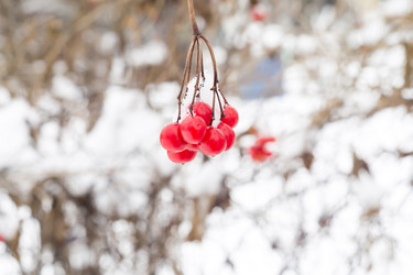 Similar image 7755382