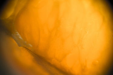 Similar image 7755396