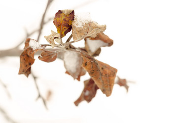 Similar image 7755397