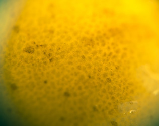 Similar image 7755402