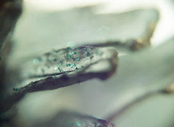 Similar image 7755405