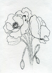 Similar image 7755407