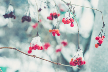 Similar image 7755408