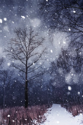 Similar image 7755421