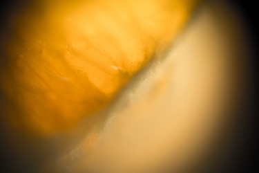 Similar image 7755424