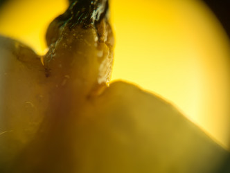 Similar image 7755425