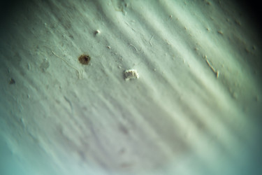 Similar image 7755428