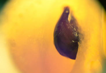 Similar image 7755433