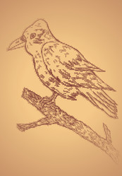 Similar image 7755434