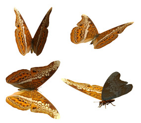 Similar image 7755438