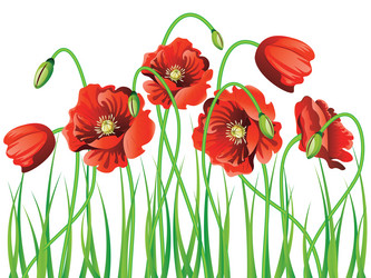 Similar image 7755444