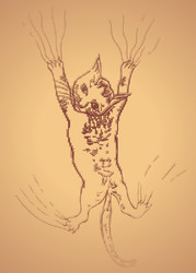 Similar image 7755453