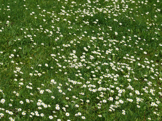 Similar image 7755756