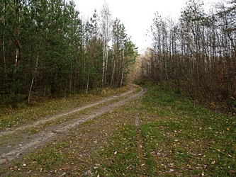 Similar image 7755758