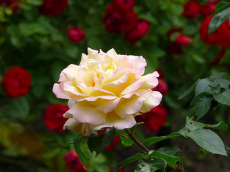 Similar image 7755762