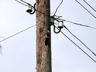 Similar image 7755763