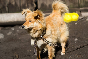 Similar image 7755766