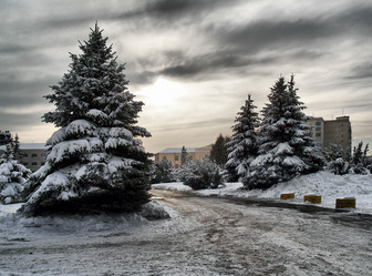 Similar image 7755789