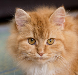 Similar image 7755871