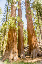 Similar image 7755957