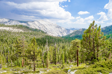 Similar image 7755959