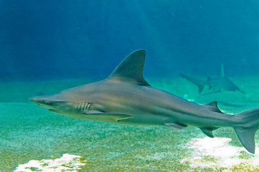 Similar image 7756001