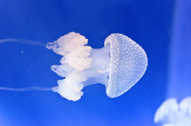 Similar image 7756003