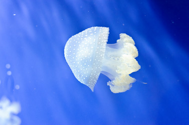 Similar image 7756006