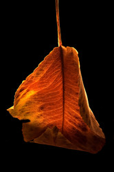 Similar image 7756110