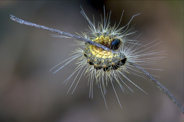 Similar image 7756116