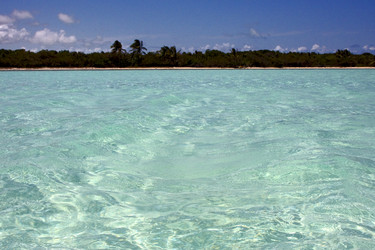 Similar image 7756158