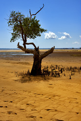 Similar image 7756162