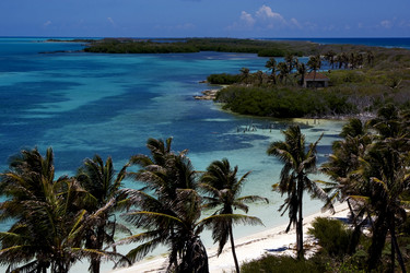 Similar image 7756166