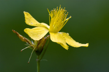 Similar image 7756196