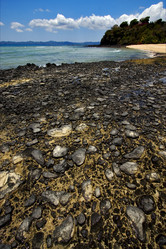 Similar image 7756198