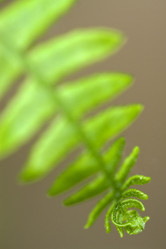 Similar image 7756262