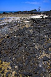 Similar image 7756263