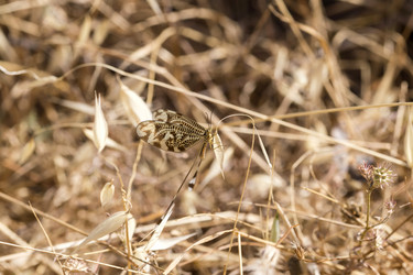 Similar image 7757241