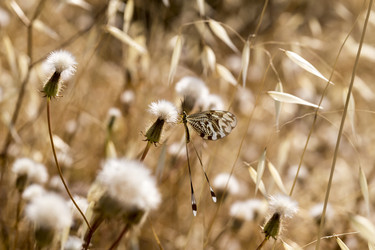 Similar image 7757242