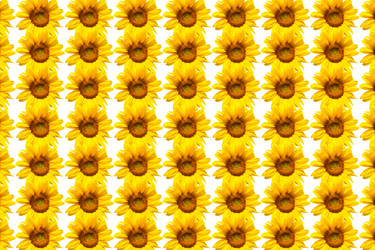 Similar image 7757244