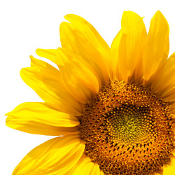 Similar image 7757245