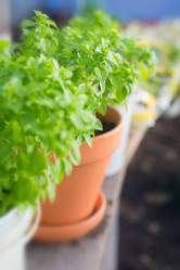 Similar image 7757392