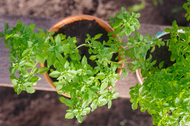 Similar image 7757393