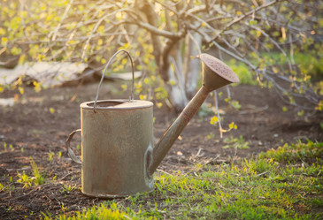 Similar image 7757400