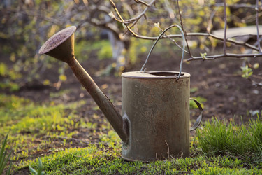 Similar image 7757402