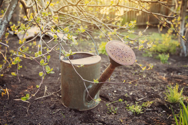 Similar image 7757405